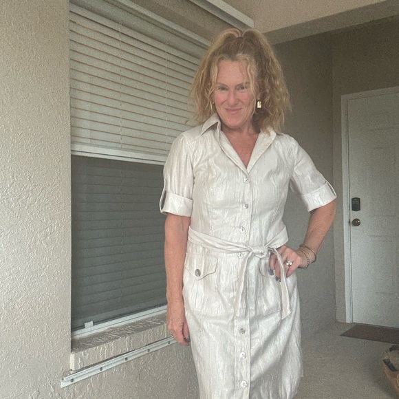 Chico's Elegant Shimmering Silver Cream Textured Dress - Picture 5 of 8